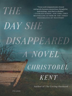 cover image of The Day She Disappeared